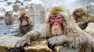 Setsubun Beans and Ehomaki