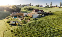 Not image here