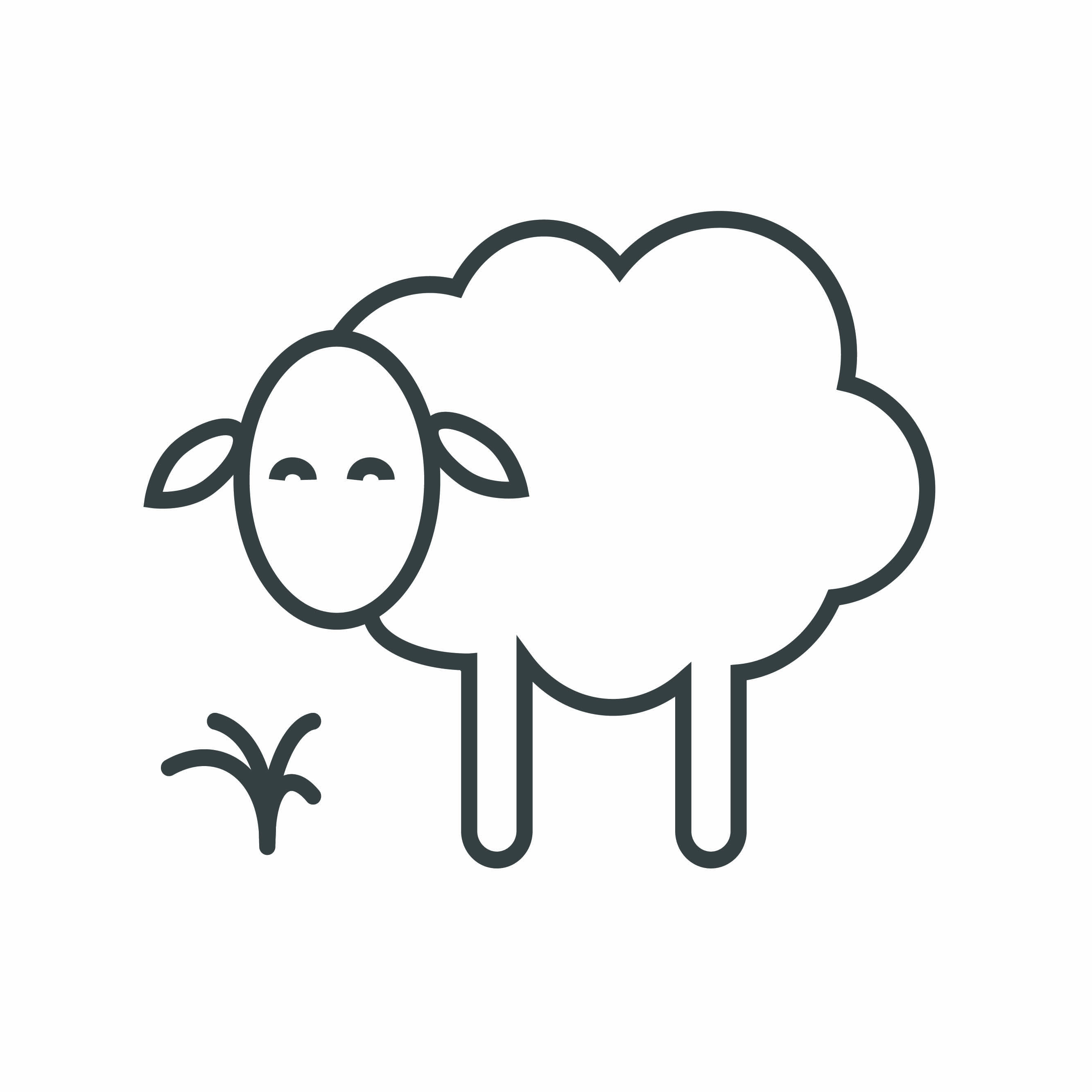 Pure wool icon