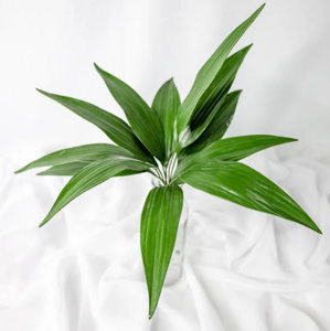 Lilium Leaf (12 Pack) - Realistic Artificial Flowers