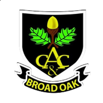 Broad Oak Cricket Club Cricket Club Logo