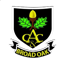 Broad Oak Cricket Club logo