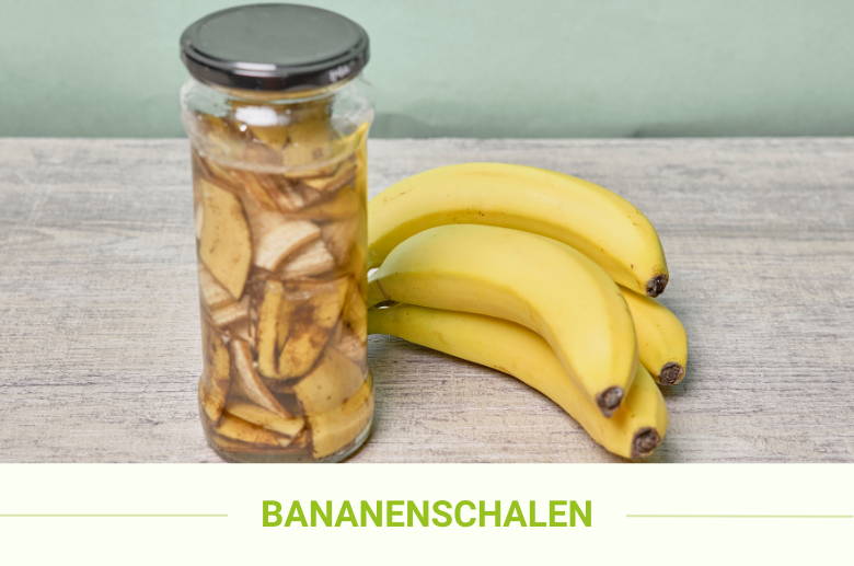 Dünger selbst herstellen Purgrün