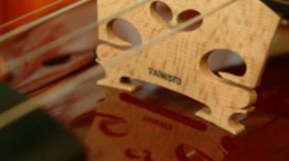profile
