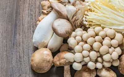 MUSHROOMS: THE UNDERRATED SUPERFOOD
