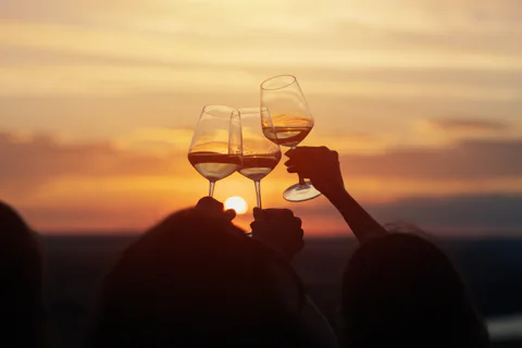 Czech Vineyards and Wine Tasting 4WD Tour with Lunch