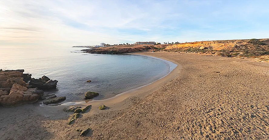  Torrevieja
- Playa Canina Orihuela Costa.webp