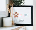 Framed pet memorial with paw print, nose print, and a small red heart for "Frankie 2002-2013." Surrounded by a plant, candle, and reed diffuser.