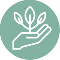 Icon mit Hand und Pflanze