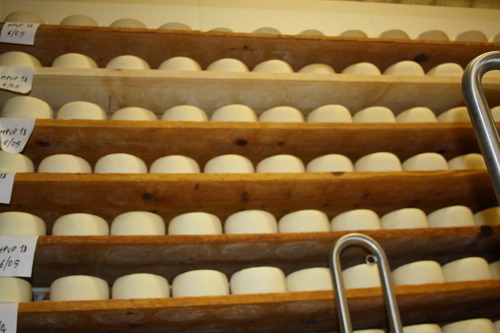 Дегустация сыров и визит на производство‏