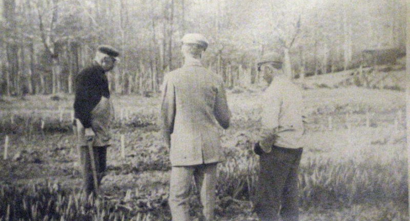 Garden & Estate Insider: Planning a Garden with H. F. 