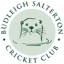 BUDLEIGH SALTERTON Cricket Club logo