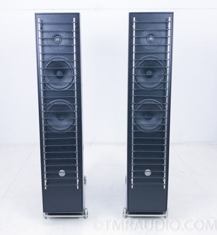 GamuT  RS5i Floorstanding Speakers;   Pair (2667)