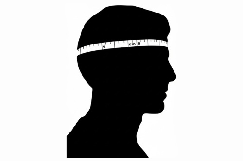 1019 Sundowner Kangaroo