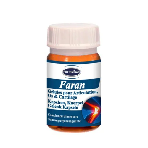 Faran - Articulation Os & Cartilage
