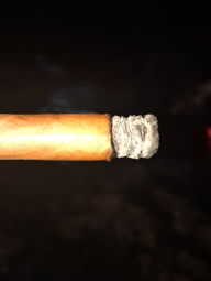 Cigar Session Photo