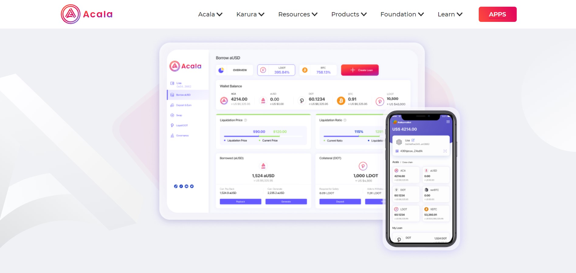 Acala Network product / service