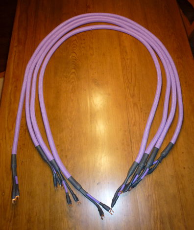 Olympus Audio/Chaconne   Chaconne Audio Cables Two Pair...
