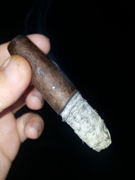 Cigar Session Photo