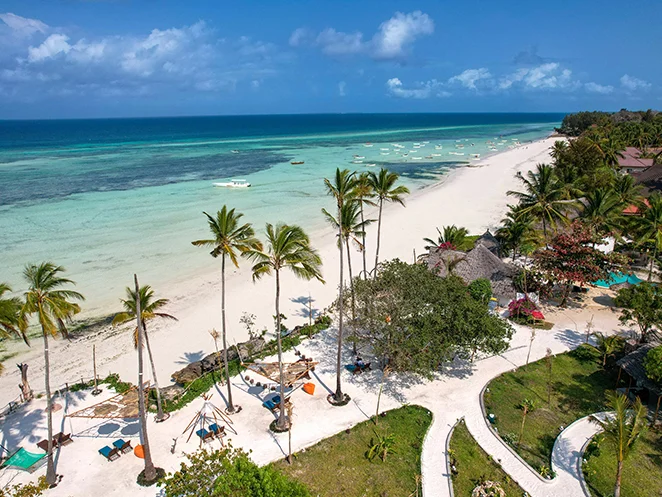 Vue aérienne de Zanzibar : eaux azur, palmiers et sable blanc.