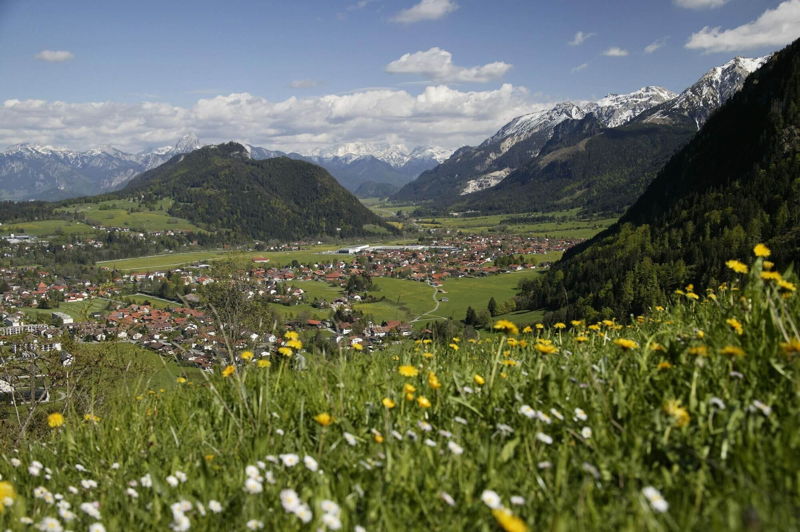 Frühling im Allgäu: Blick auf die Berge und bunte Blumenwiesen.