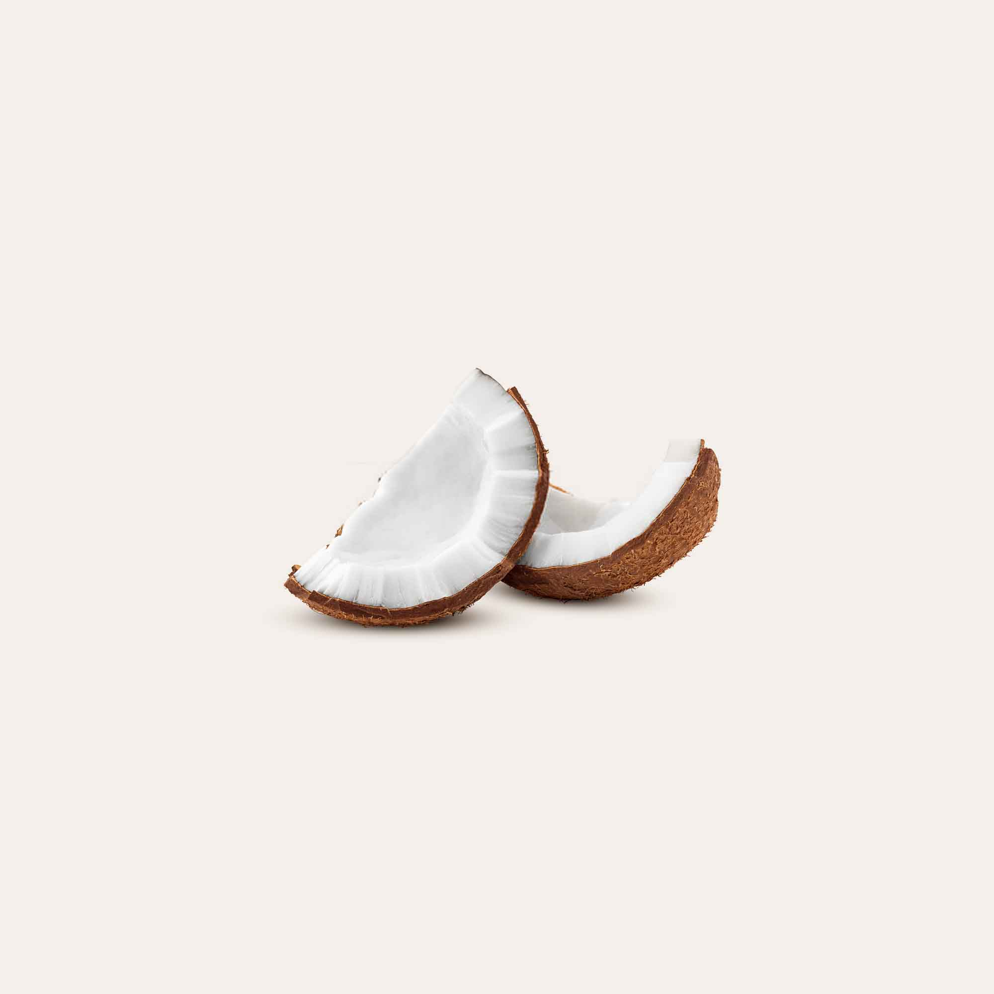 coconut wedges on solid background
