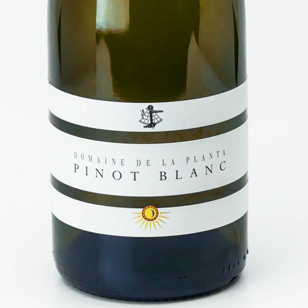pinot-blanc-domaine-de-la-planta