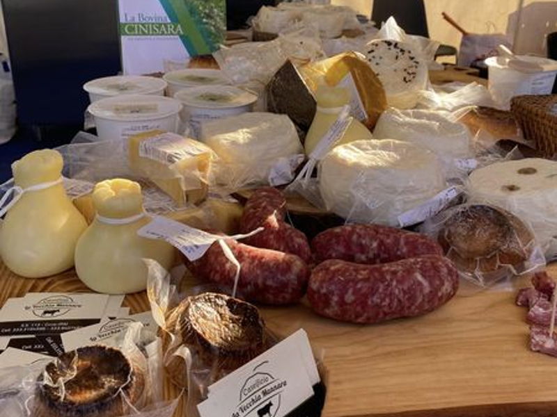 Tour enogastronomici Terrasini: Tour nella produzione di formaggi della vacca Cinisara 