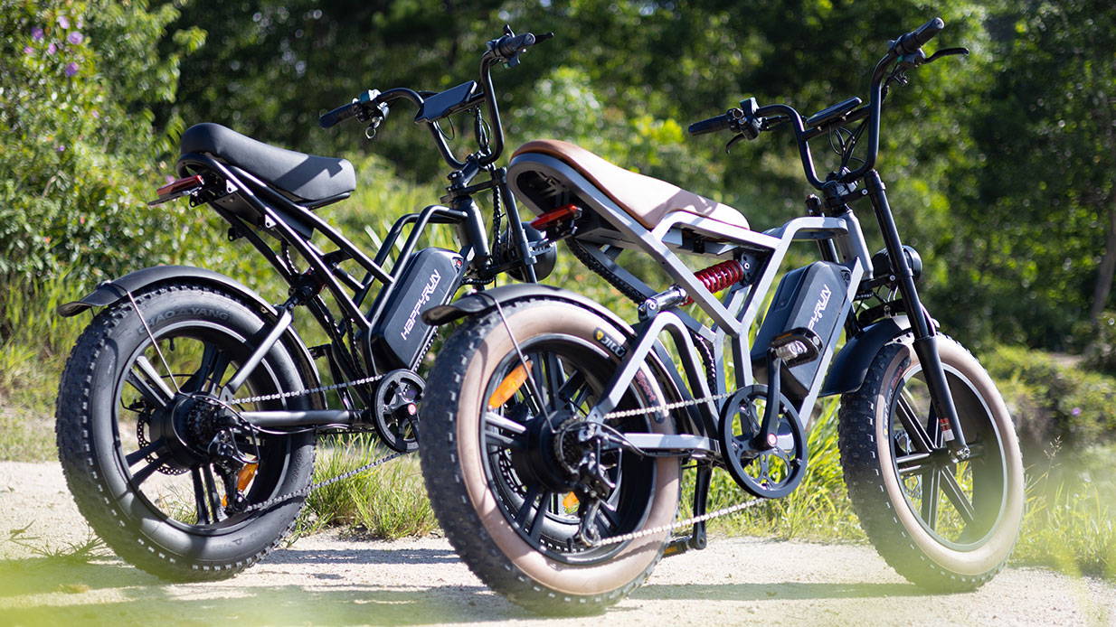 HappyRun 750W all-terrain off-road electric bike