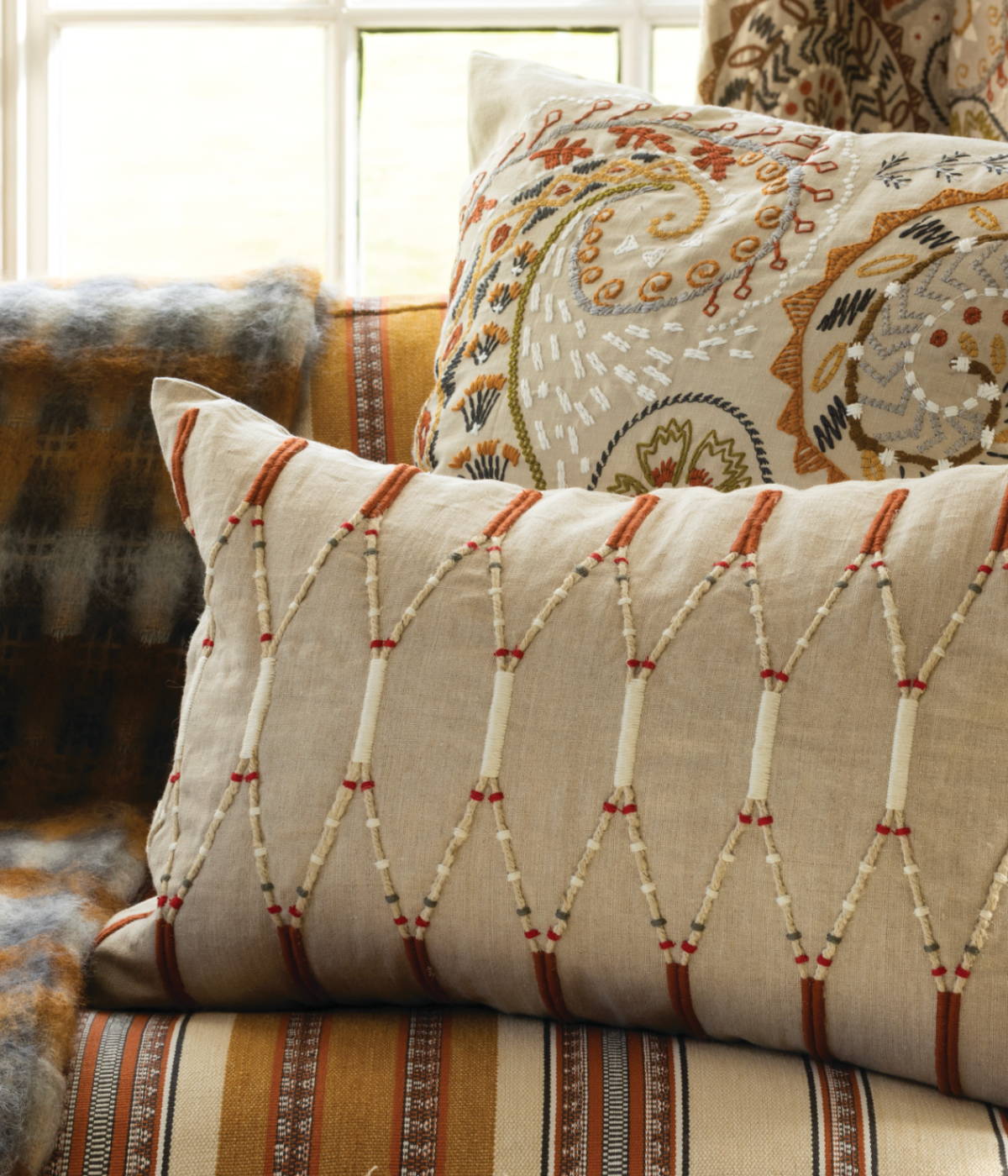 Designer Cushions