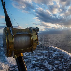 Deep Sea Fishing on Honeymoon