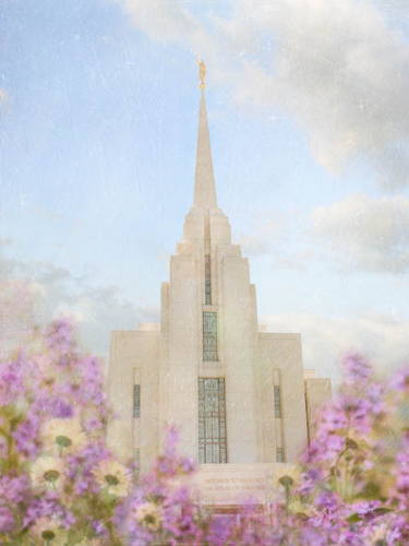 Rexburg Temple picture with lavendar flowers in the foreground.