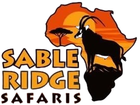 https://ucarecdn.com/b2865193-fb9f-4de4-b00b-3fe60f1ff1c4/-/crop/275x207/36,41/-/preview/