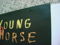 12 INCH Laserdisc movie - Neil Young and crazy horse th... 4