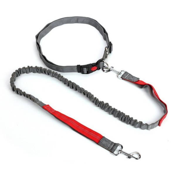 Hands-free elastic leash for dogs