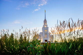 Twin FAlls Temple stands behind a wheatfield. 