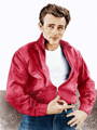 James Dean Rebel Without A Cause Harrington Baracuta