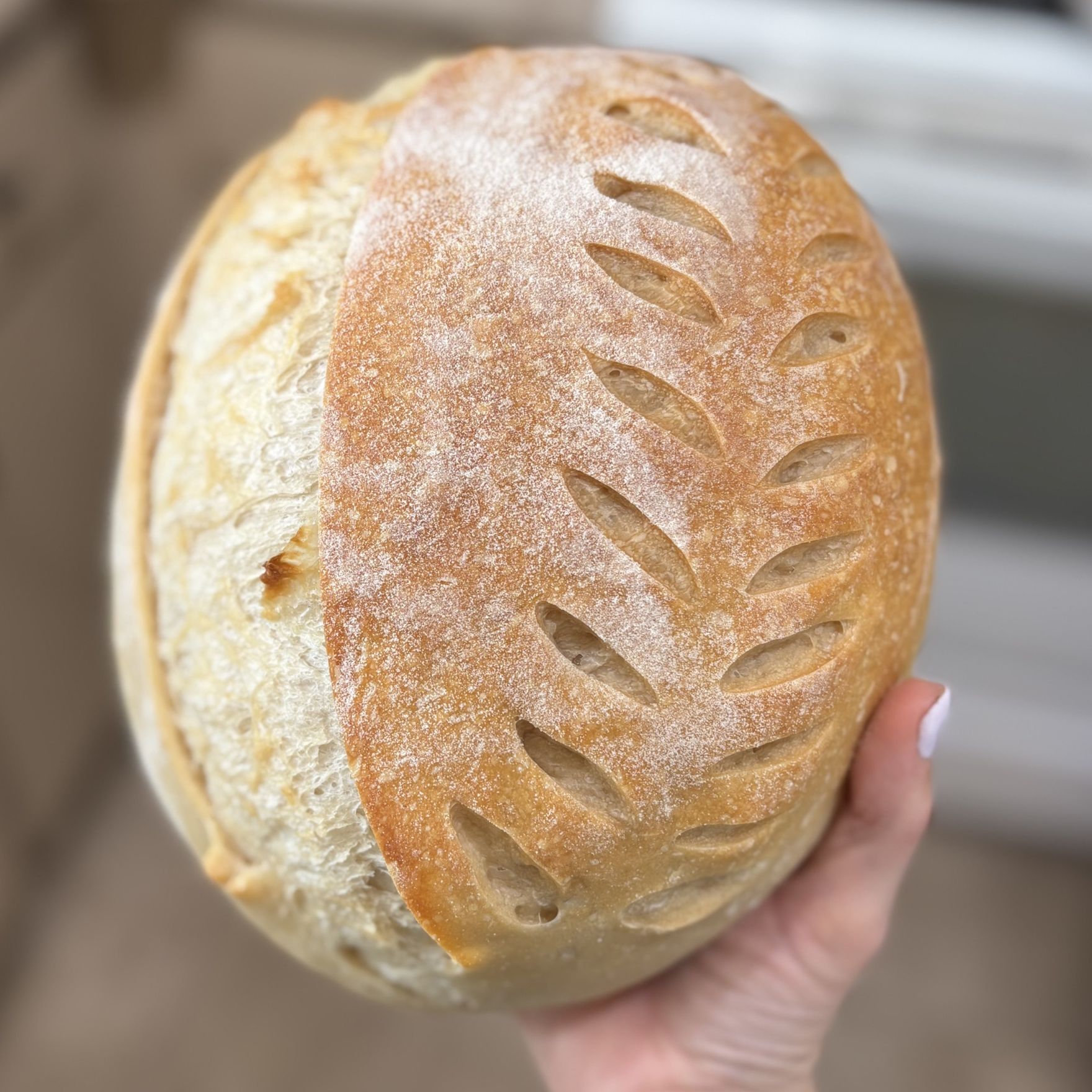 HoneyBird Bakery — photo from hotplate.com