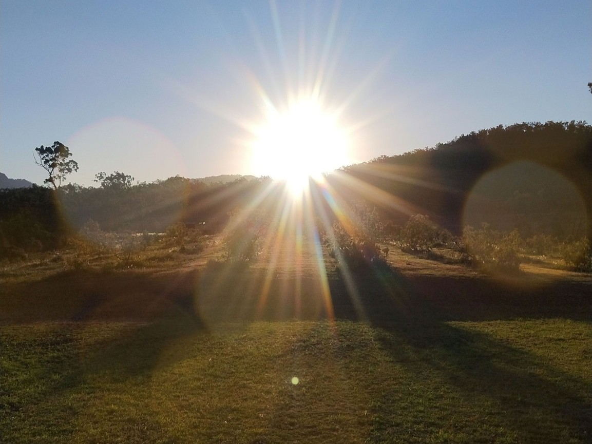 Ellia's Garden Voucher - Image 7