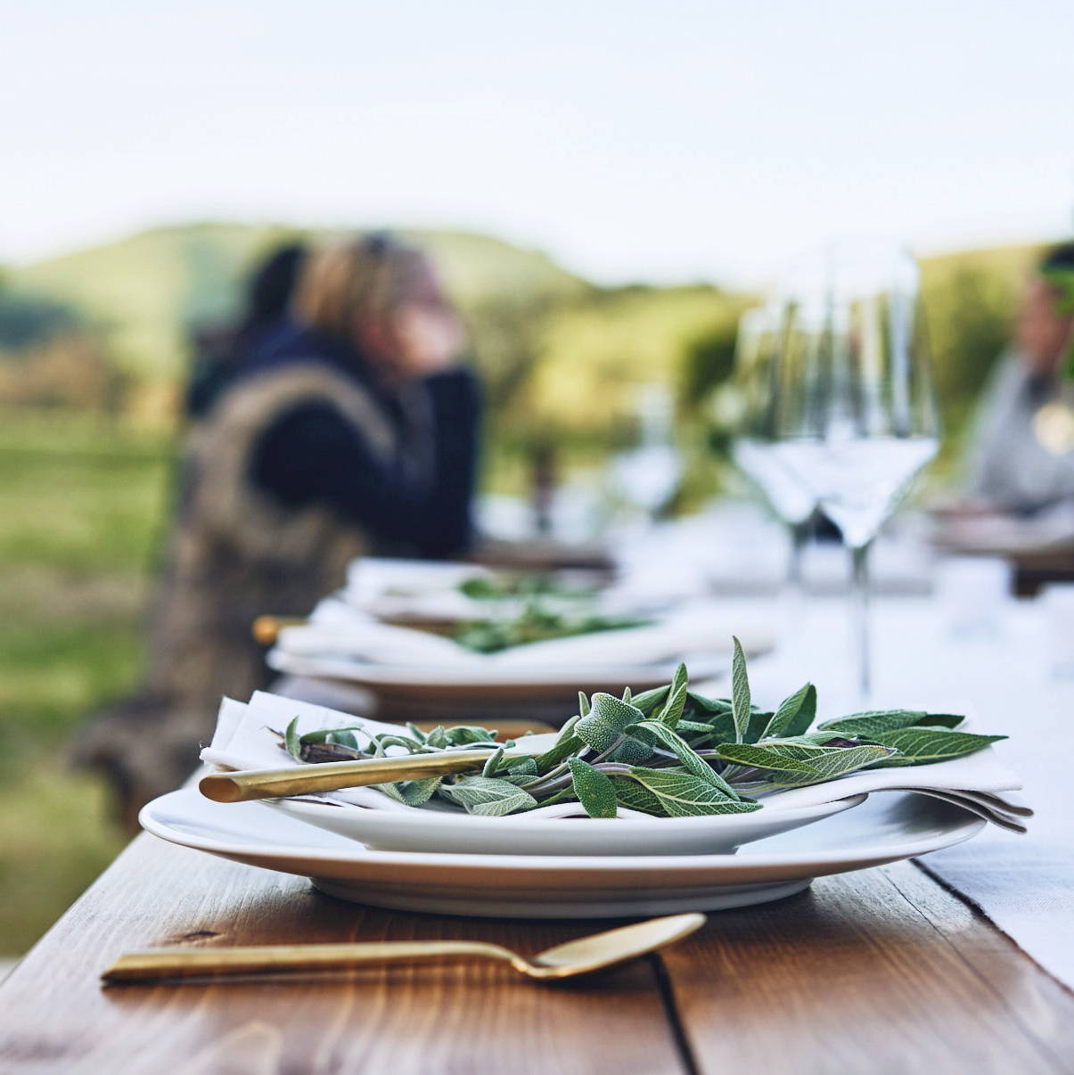 Table display from farm-to-table dinner hosted by Stick & Ball