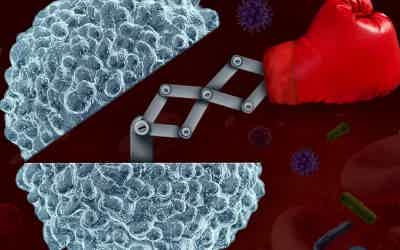 YOU’VE GOT THIS: SUPPORT YOUR IMMUNE SYSTEM TO STAY HEALTHY NOW