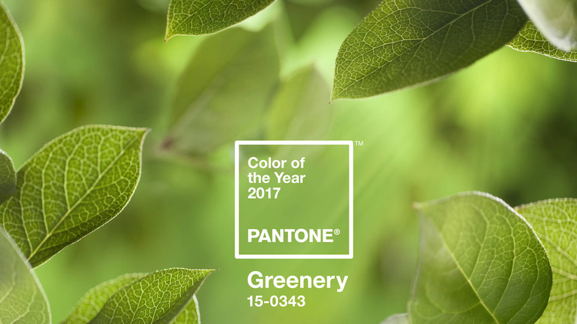 Featured image for Pantone Announces the Color of the Year 2017: Greenery