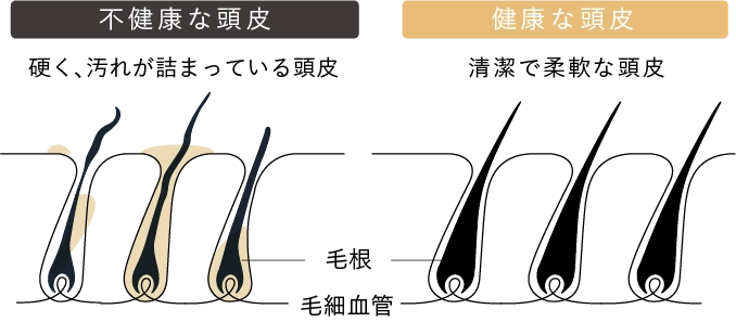 年齢変化