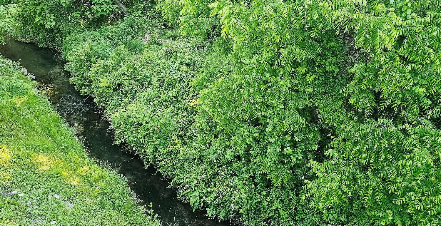 Slideshow image