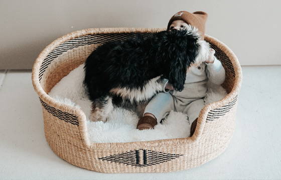 Moses basket craftsmanship and quality of products