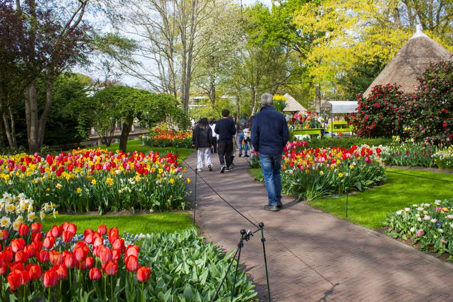 Amsterdam to Keukenhof and Zaanse Schans with Guide - photo 2