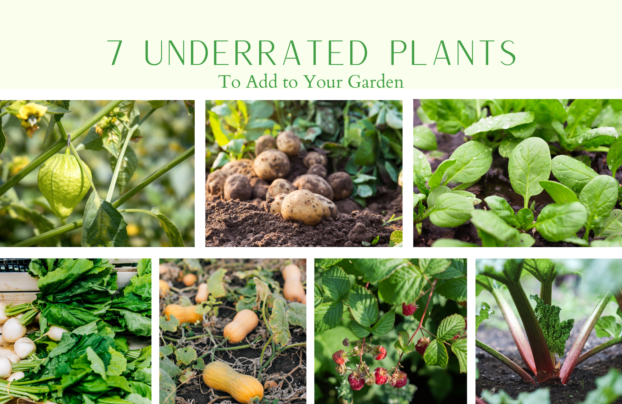 A collage of plant images with the words "7 Underrated Plants for Your Garden"