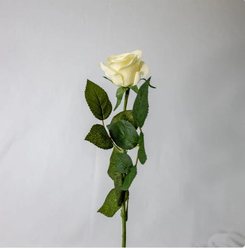 Cream Real Touch Half Bloom Roses - Realistic Artificial Flowers - Image 2