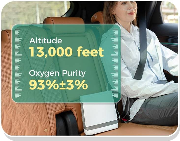 concentratore di ossigeno portatile per la guida