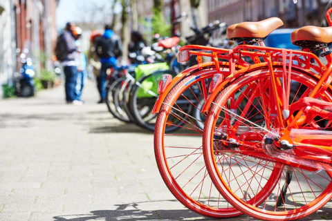 Amsterdam: Guided Sightseeing Bike Tour